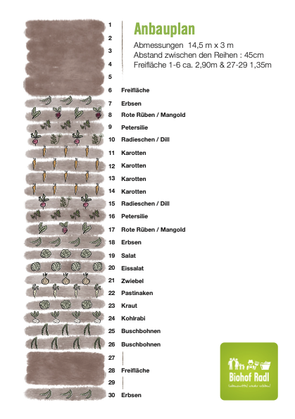 anbauplan_2022_sussenbrunner-strasse-breitenleer-strasse-pelargonienweg-satzingerweg-strebersdorfer-strasse.png
