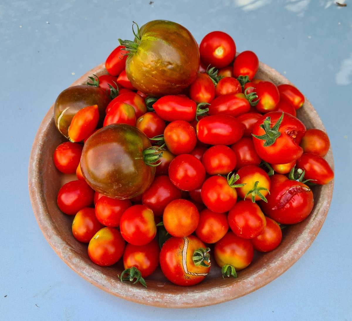 tomaten.jpg